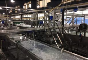 洗碗機(jī)流水線設(shè)備與建筑物清潔服務(wù) 共促衛(wèi)生標(biāo)準(zhǔn)升級(jí)